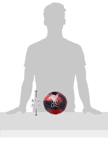 Icon Sports Liverpool FC Brush Team Soccer Ball